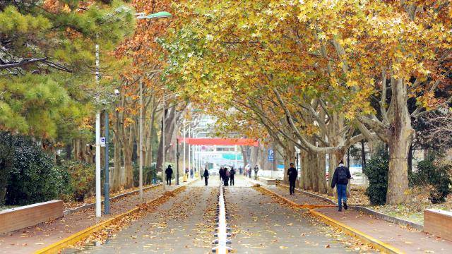 各省高考志愿捡漏王出炉：多名学生400分就上了985大学 